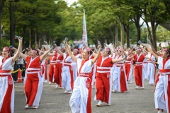 LINE_ALBUM_桜舞トロント_250108_5